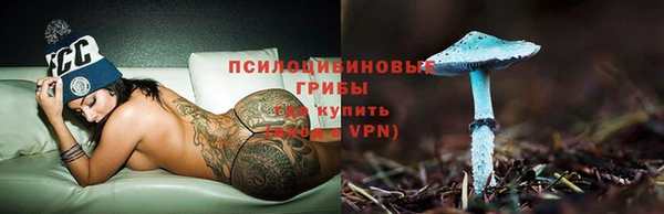 ECSTASY Белокуриха
