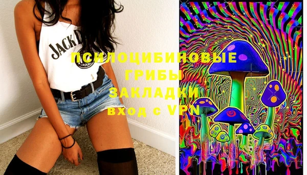 ECSTASY Белокуриха