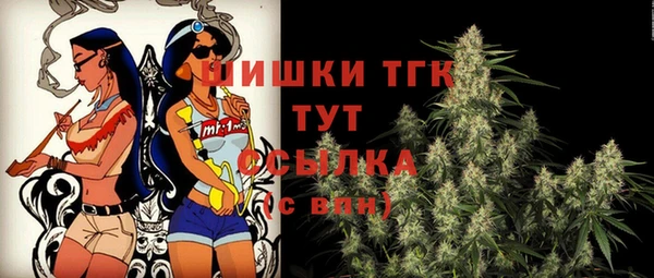 ECSTASY Белокуриха