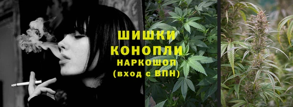 ECSTASY Белокуриха