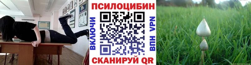 Псилоцибиновые грибы Magic Shrooms  MEGA ссылки  Болохово 